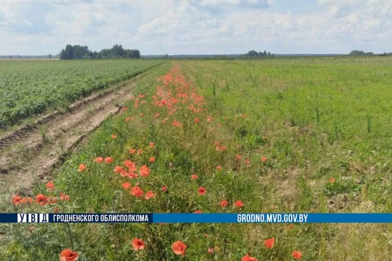 В Гродненской области