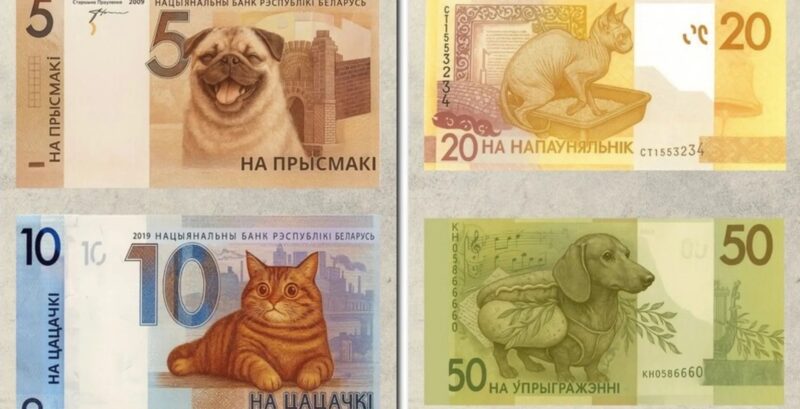 в Беларуси