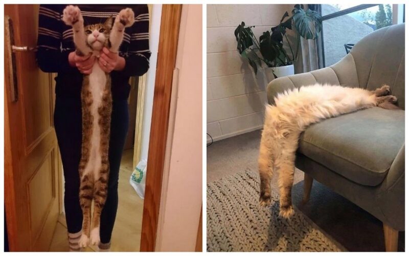 Новый хит