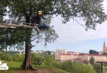 В Гродно убрали подвешенные качели