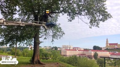 В Гродно убрали подвешенные качели