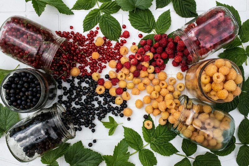 Какую сельхозпродукцию