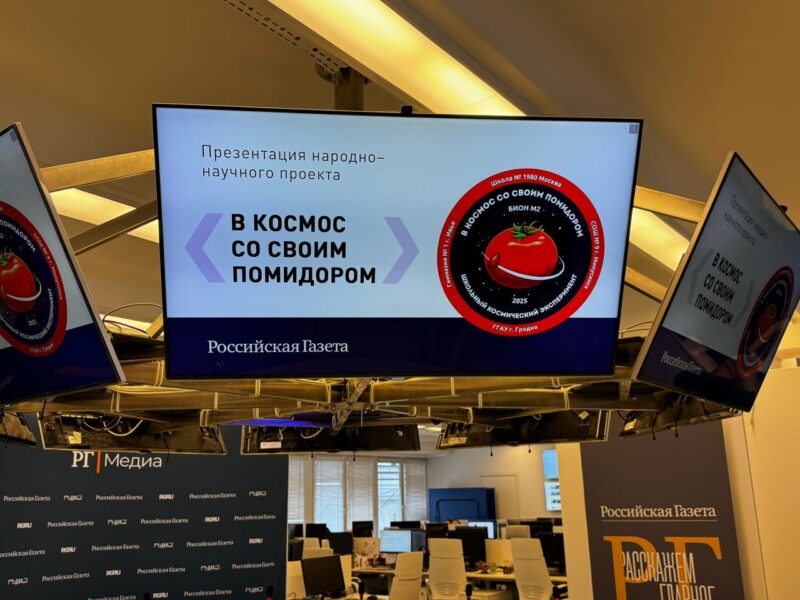 Школьники из Ивья участвуют