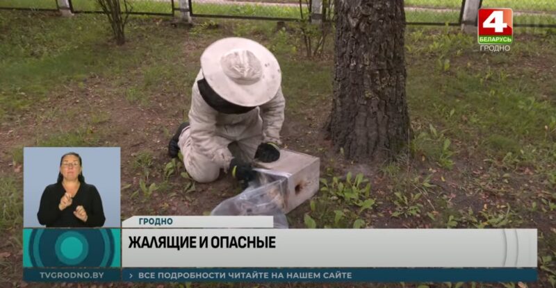МЧС фиксирует