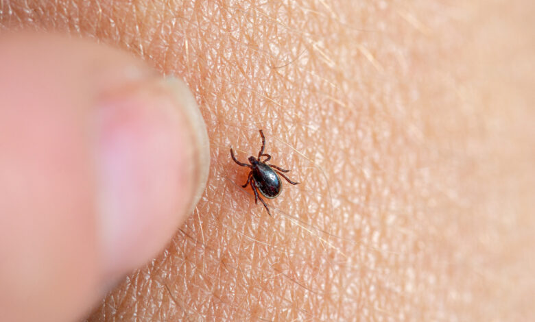 В Беларуси этой зимой