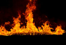 В Гродно сосед вывел хозяина