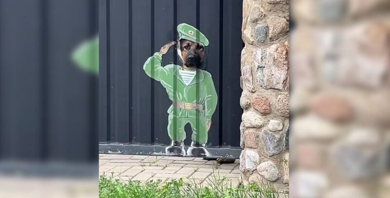 сторожевой пёс