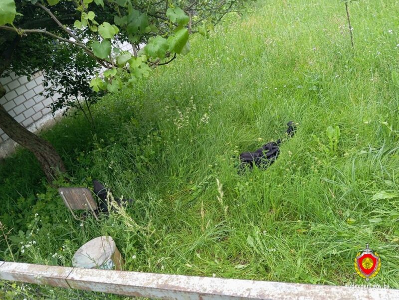 Нетрезвого белоруса насмерть закусали
