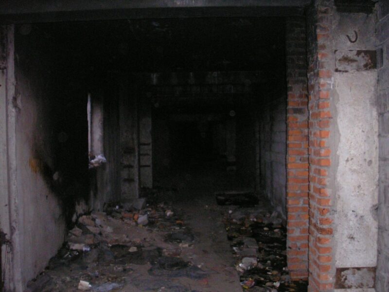 Селфи 