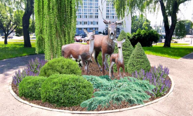 Олени на клумбе и картина из живых цветов в Гродно