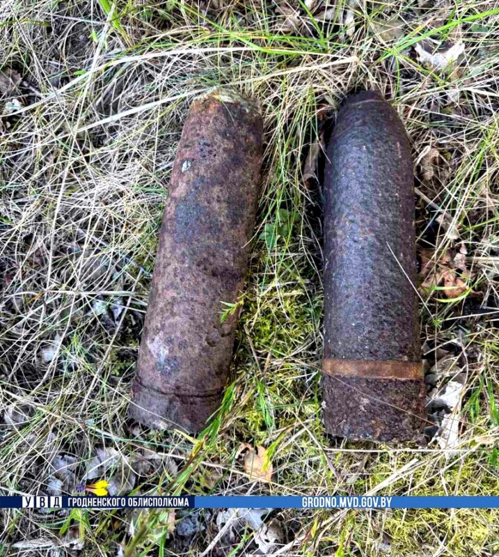 за несколько дней в