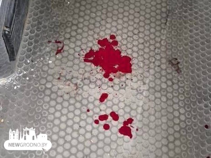 В Гродно автобус попал в ДТП на оживлённом перекрёстке