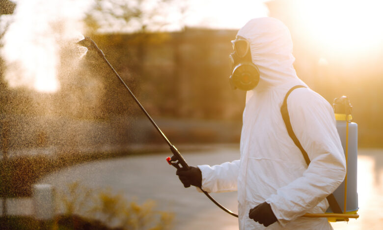 В Гродно парки и скверы