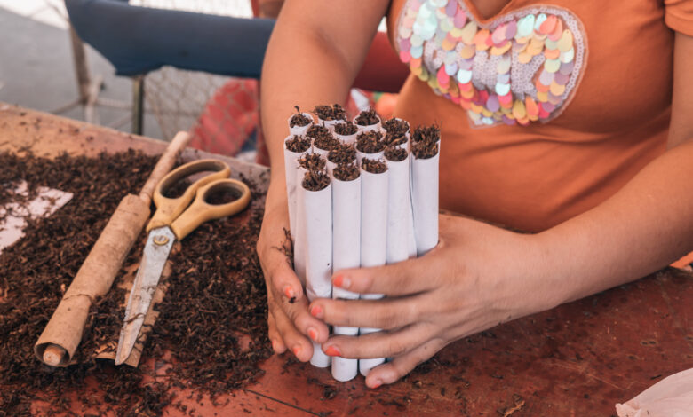 С 1 сентября в Беларуси подорожают