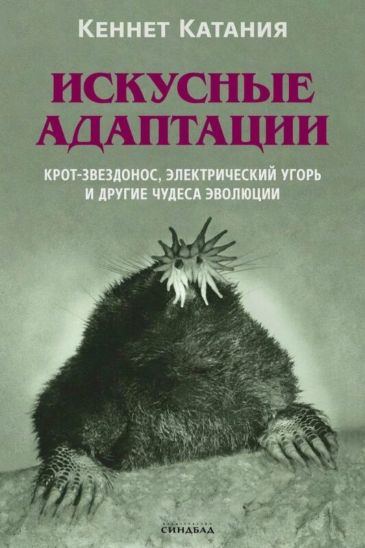 МТС 