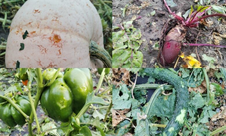 По Гродненской области