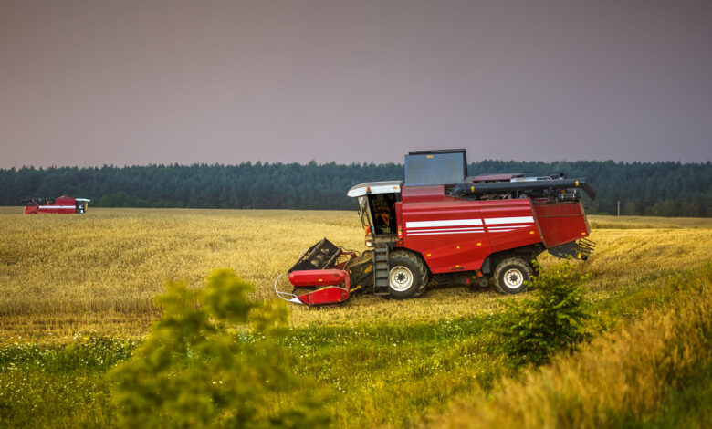 урожай расторопши