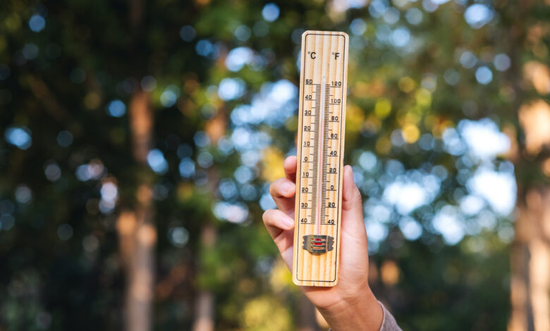 Погода в Беларуси