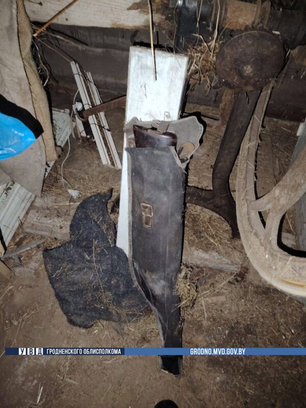 гродненка поступила по закону