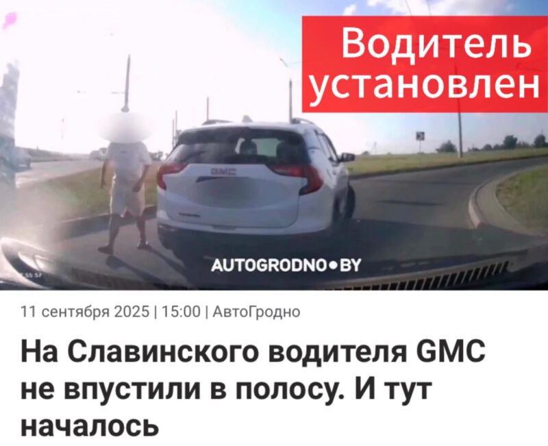 ГАИ нашла и наказала