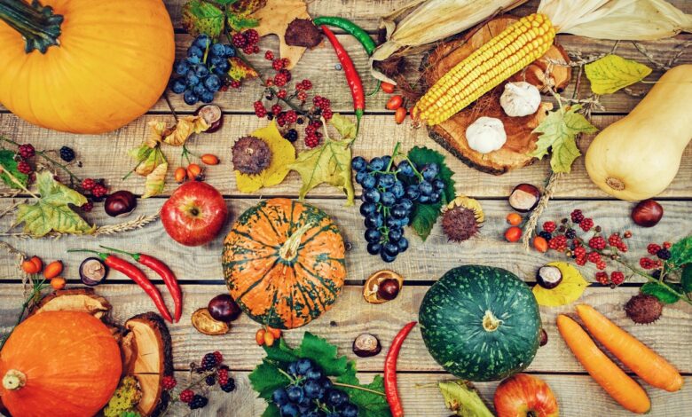 Бульбяная» рыбная и садовая