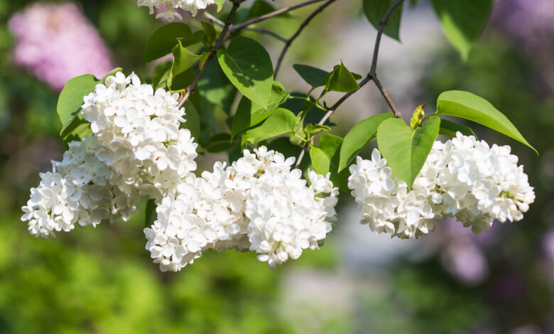 Это май или сентябрь?