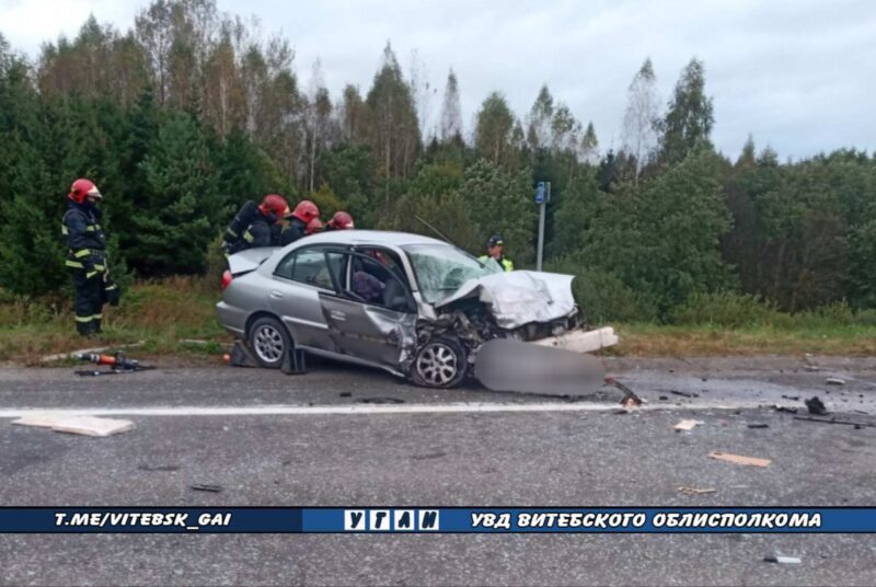 Под Витебском