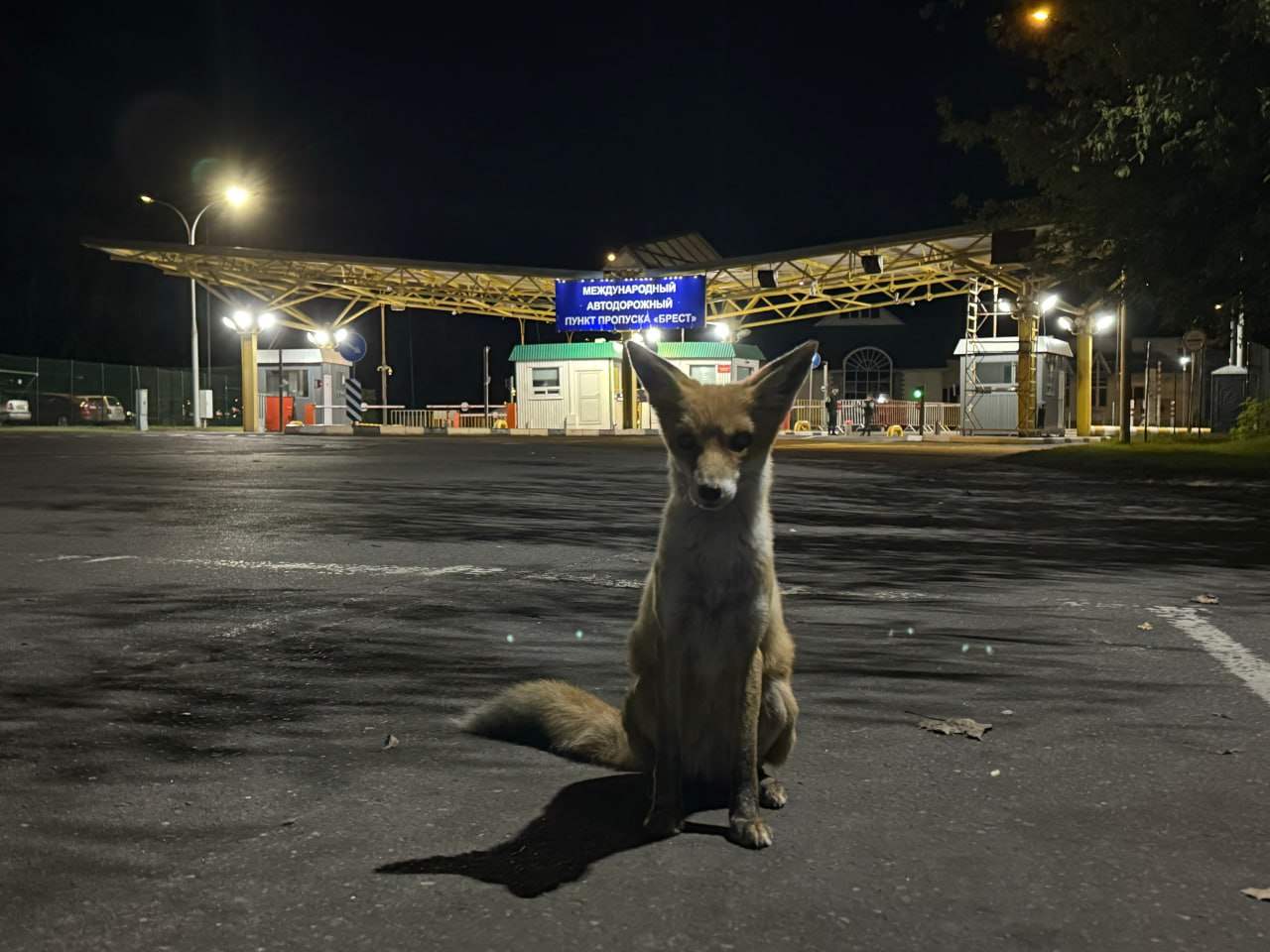 Ночью Польша открывает границу