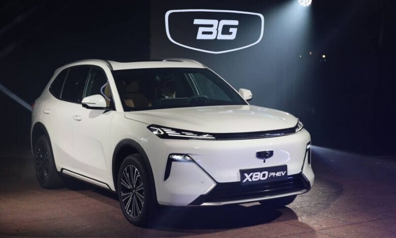 Первый гибрид BELGEE