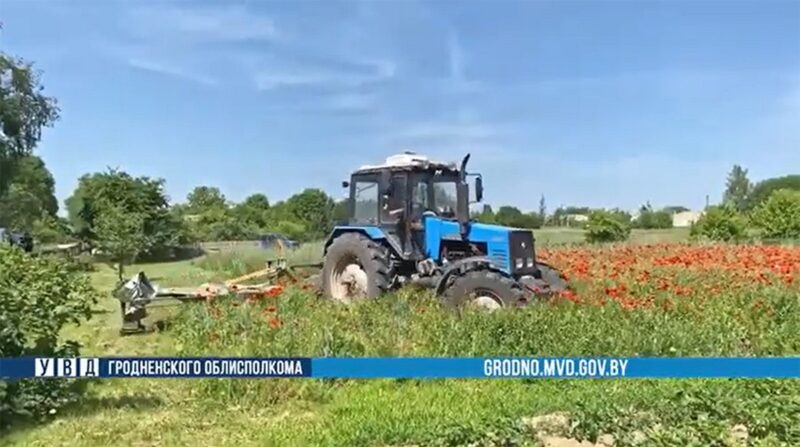 Завершилась операция «Мак»