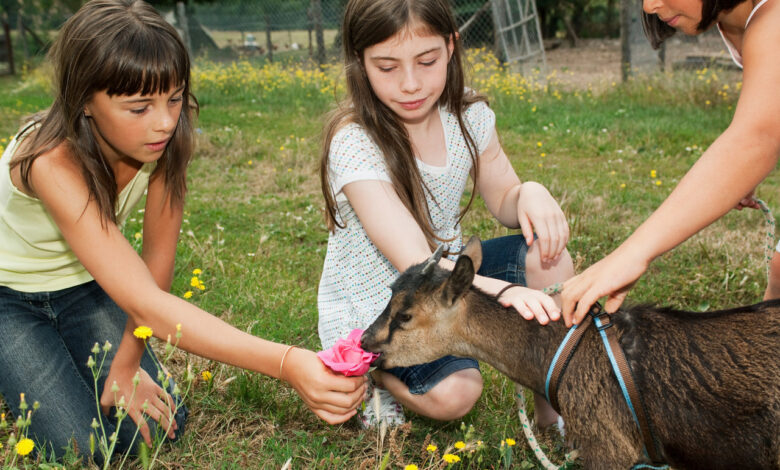 В гродненском зоопарке открывается клуб