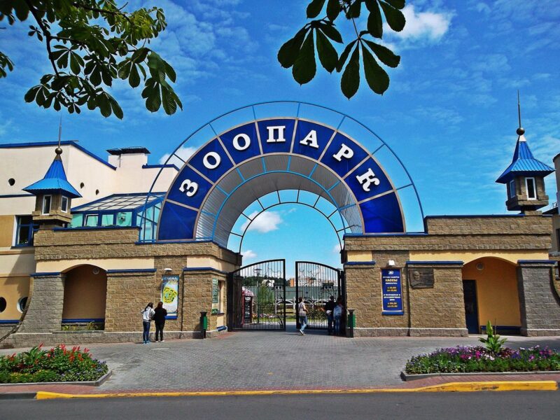 Клуб «Зубренок»