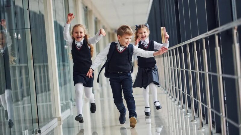 Шестой школьный день