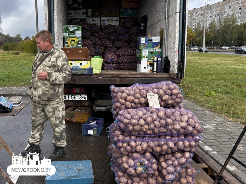 посмотрели