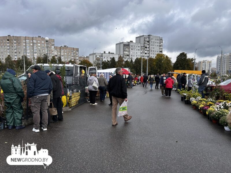 посмотрели
