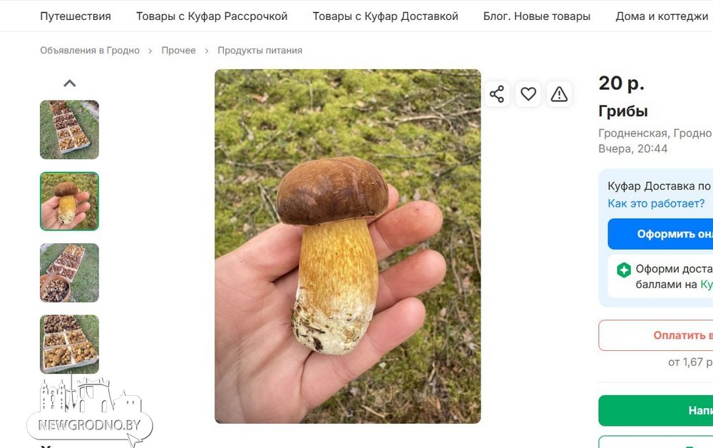 Сколько сейчас в Гродно стоят дары леса