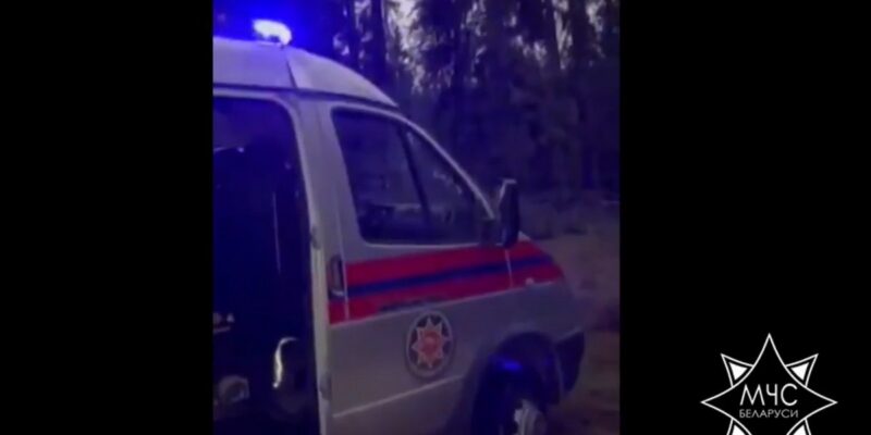 В лесу под Свислочью