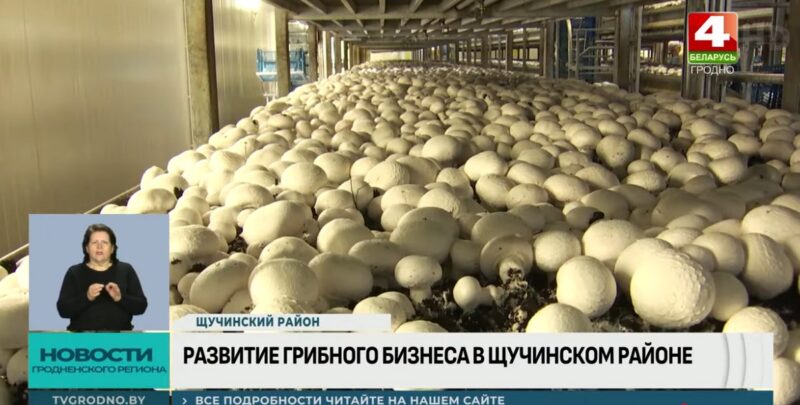 В Щучинском районе строят