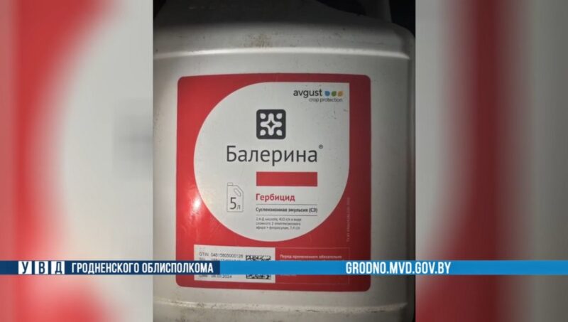 Зампредседатель одного из хозяйств