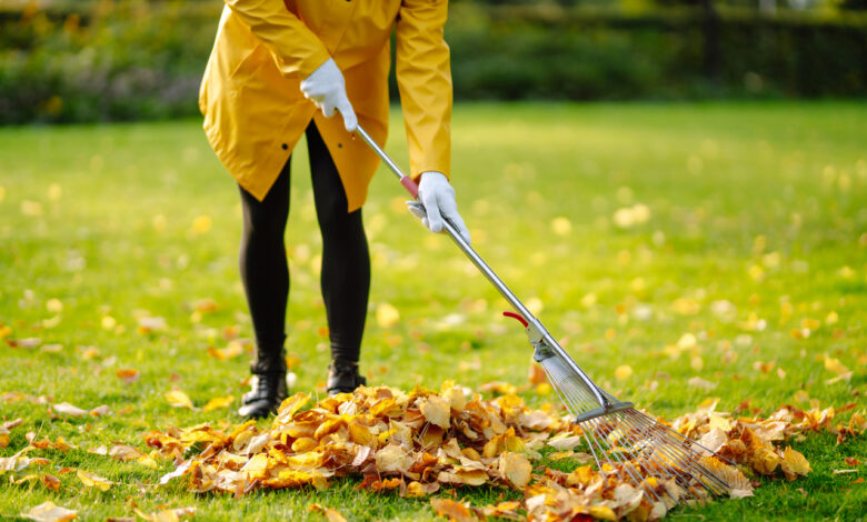 25 октября в стране