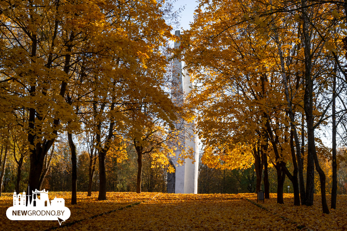 В Гродно началась та самая золотая осень