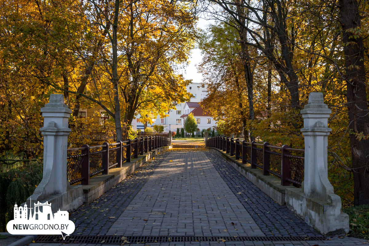 В Гродно началась та самая золотая осень
