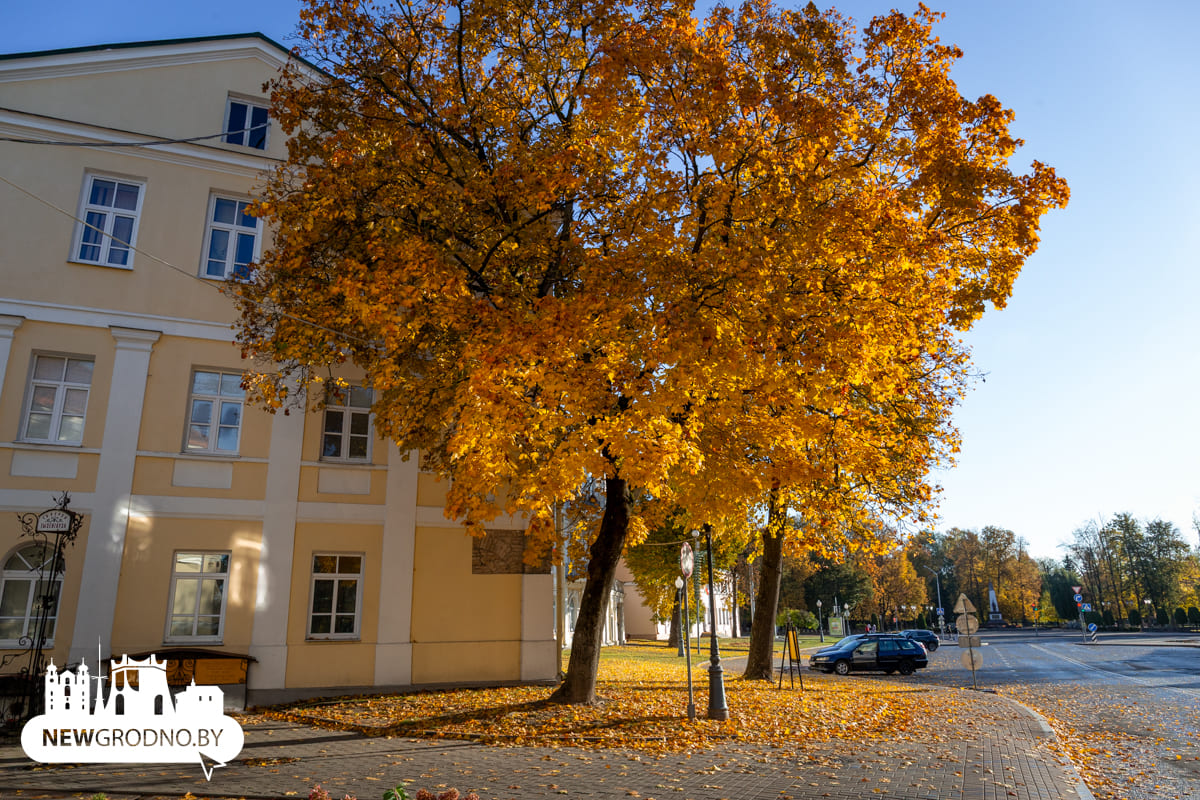 В Гродно началась та самая золотая осень