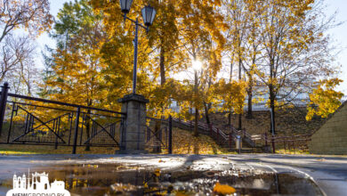 в Беларуси