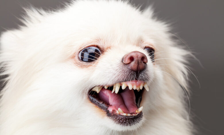 Обходите стороной: кто чаще