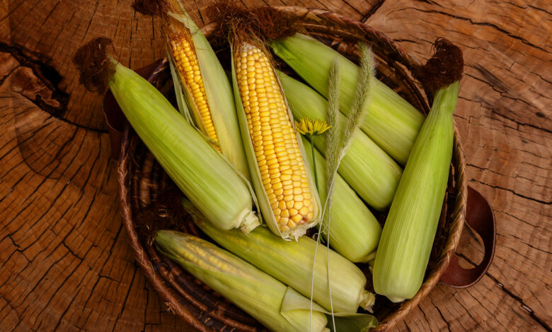 Под Щучином вырастили