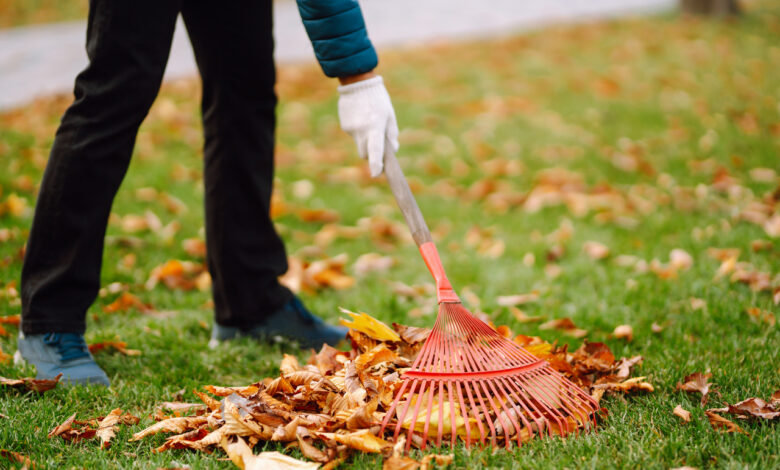Субботник в Гродненской области