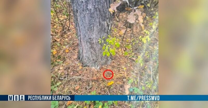 Студент из Гродно
