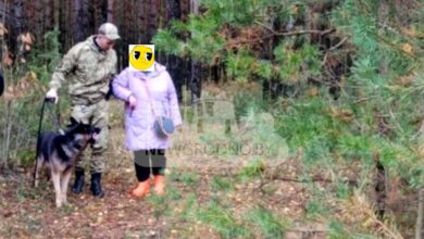 Такие ситуации в последнее время не редкость. Люди уходят в лес за грибами, а дорогу обратно найти не могут. На днях в таком положении оказалась читательница Newgrodno.by и ее соседка. Они вместе отправились на тихую охоту в район Августовского канала. Недалеко от деревни Калеты у машины спустило колесо.