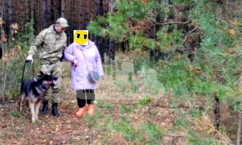 Такие ситуации в последнее время не редкость. Люди уходят в лес за грибами, а дорогу обратно найти не могут. На днях в таком положении оказалась читательница Newgrodno.by и ее соседка. Они вместе отправились на тихую охоту в район Августовского канала. Недалеко от деревни Калеты у машины спустило колесо.
